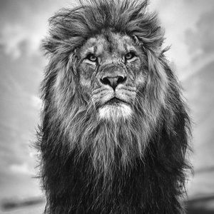 Meet your Posher, Lynette